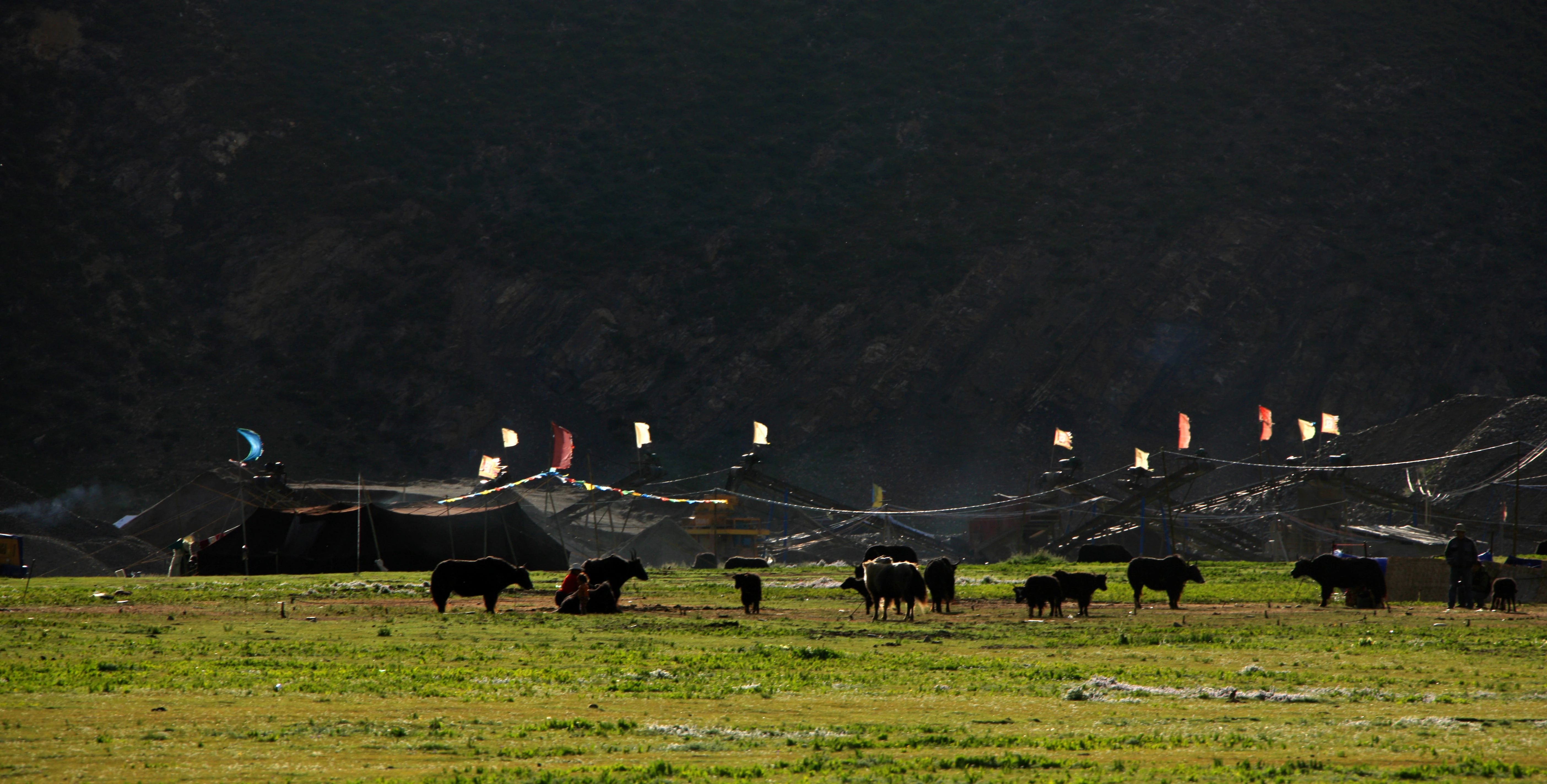 སྦྲ་ནག་བཟོ་བའི་ལག་རྩལ།