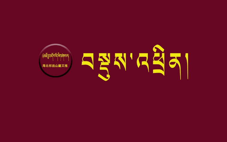 ཞིང་ཆེན་དམངས་འཐུས་ཚོགས་ཆེན་རྒྱུན་ལས་ཨུ་ཡོན་ལྷན་ཁང་གིས་གྲོང་གསེབ་དར་སྤེལ་གཏོང་བའི་བྱ་བའི་གནས་ཚུལ་ལ་རྟོག་ཞིབ་བྱས།